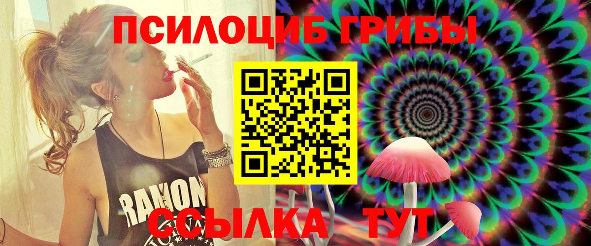 Галлюциногенные грибы мицелий Верхняя Пышма